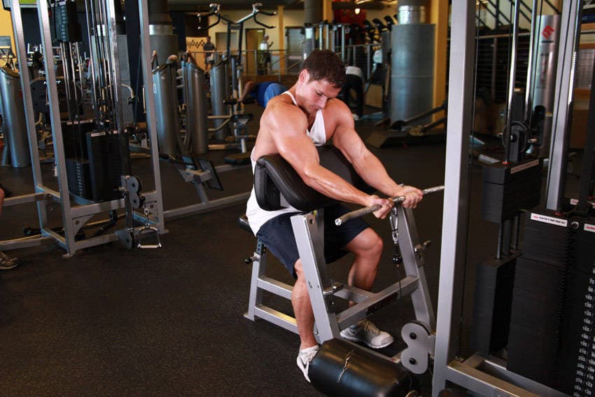 Cable Preacher Curl