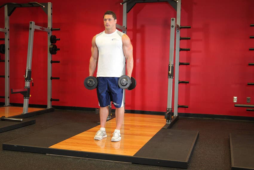 Dumbbell Bicep Curl